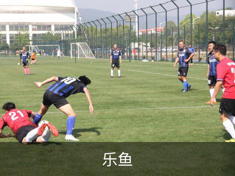 乐鱼简介